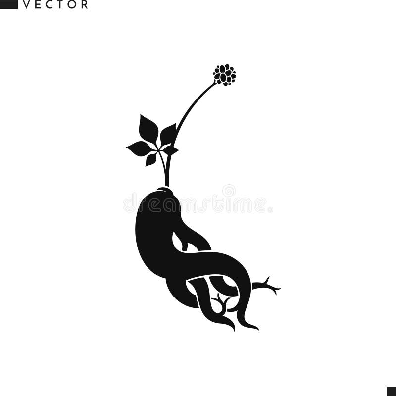 Röd ginseng-vektor. abstrakt växt med rot royaltyfri illustrationer