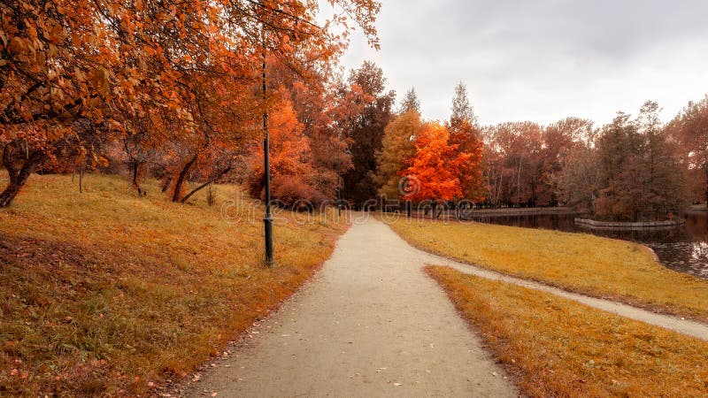 Röd, gul och grönt blad Fotvägen i den färgstarka höstparken Fallliggande fotografering för bildbyråer Röd, gul och grönt blad Fotvägen i den färgstarka höstparken Fallliggande fotografering för bildbyråer