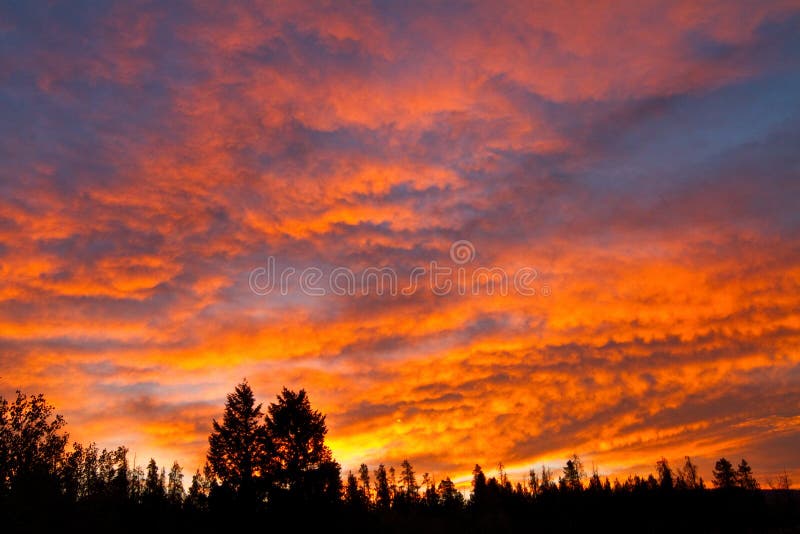 Röd himmel för brand arkivbild Röd himmel för brand arkivbild
