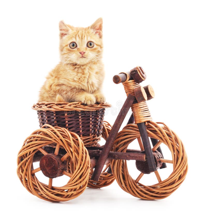 Röd kattunge på leksakcykeln arkivfoto