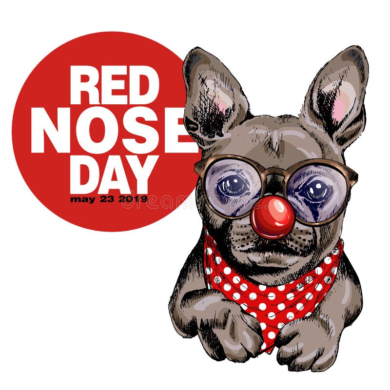 Röd näsdagaffisch Stående för hund för vektorhand utdragen Bärande exponeringsglas för fransk bulldogg, clownnäsa och bandana ame vektor illustrationer Röd näsdagaffisch Stående för hund för vektorhand utdragen Bärande exponeringsglas för fransk bulldogg, clownnäsa och bandana ame vektor illustrationer