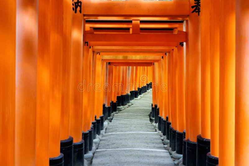 Röd portväg, toriikorridor i Fushimi Inari Taisha, Kyoto, Japan arkivbilder Röd portväg, toriikorridor i Fushimi Inari Taisha, Kyoto, Japan arkivbilder