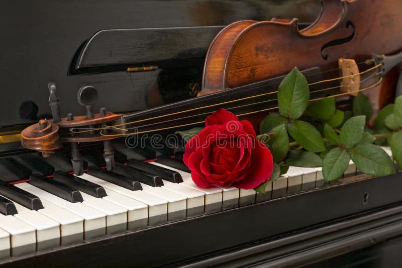 Röd rosfiol för piano