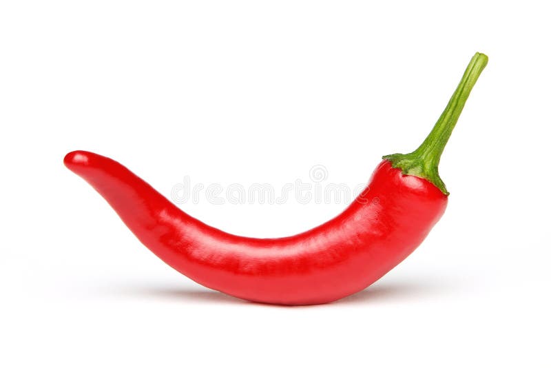 Röd white för chilipeppar royaltyfri fotografi