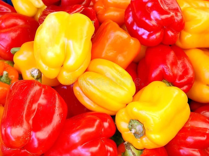 röd yellow för paprika arkivfoton röd yellow för paprika arkivfoton