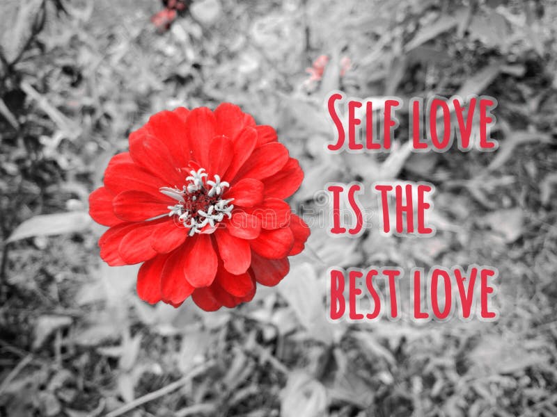 Röd zink med text som säger att kärlek är den bästa kärleken.