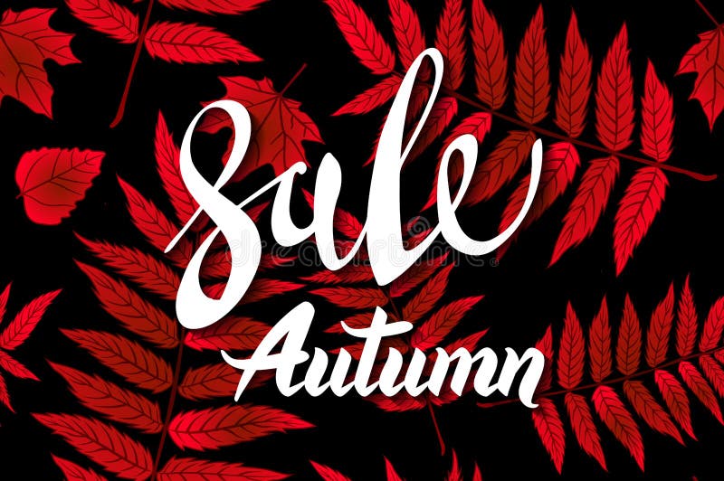 Röda Autumn Sale Background, utdragen höstkalligrafi för hand med det fallande sidor, rengöringsdukbanret och att shoppa försäljn vektor illustrationer Röda Autumn Sale Background, utdragen höstkalligrafi för hand med det fallande sidor, rengöringsdukbanret och att shoppa försäljn vektor illustrationer