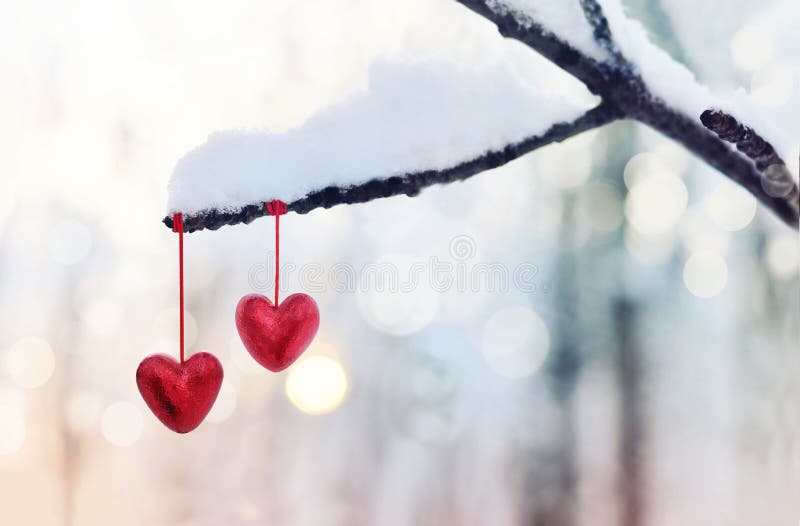 Röda hjärtor på snöig trädfilial i vinter För valentindag för ferier lyckligt begrepp för förälskelse för hjärta för beröm arkivbilder Röda hjärtor på snöig trädfilial i vinter För valentindag för ferier lyckligt begrepp för förälskelse för hjärta för beröm arkivbilder