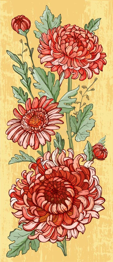Röda krysantemum planlägger vektor illustrationer Röda krysantemum planlägger vektor illustrationer