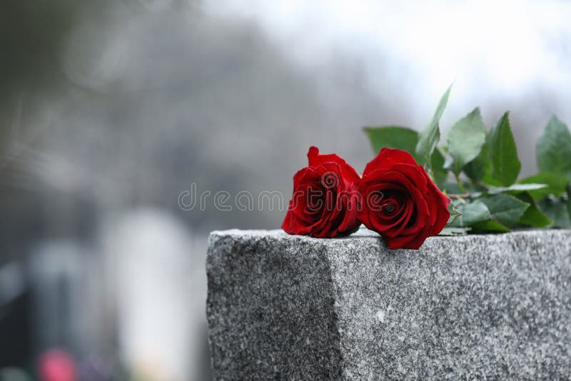 Röda rosor på grå granit begravningsceremoni