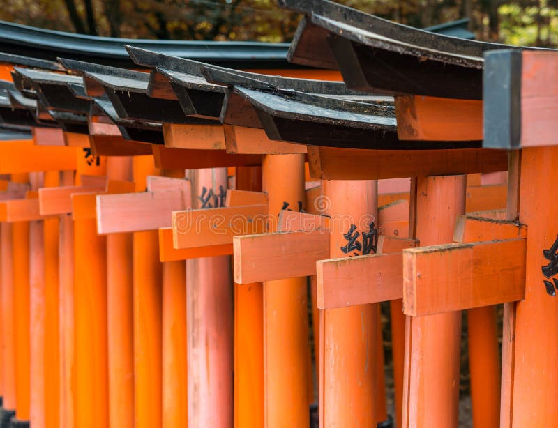 Röda Tori Gate på den Fushimi Inari relikskrin i Kyoto, Japan royaltyfria foton Röda Tori Gate på den Fushimi Inari relikskrin i Kyoto, Japan royaltyfria foton