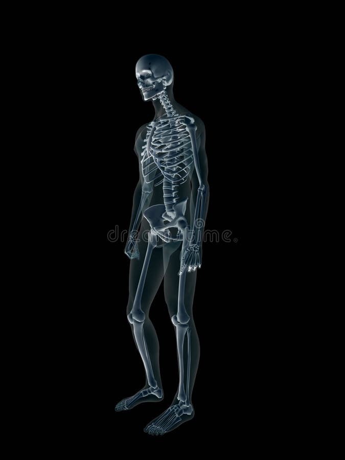 Röntgenstraal, x-ray van het menselijke mannelijke lichaam. vector illustratie Röntgenstraal, x-ray van het menselijke mannelijke lichaam. vector illustratie
