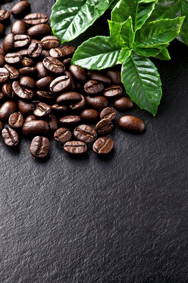 Röstkaffee mit grünen Blättern auf dunklem Hintergrund vektor abbildung