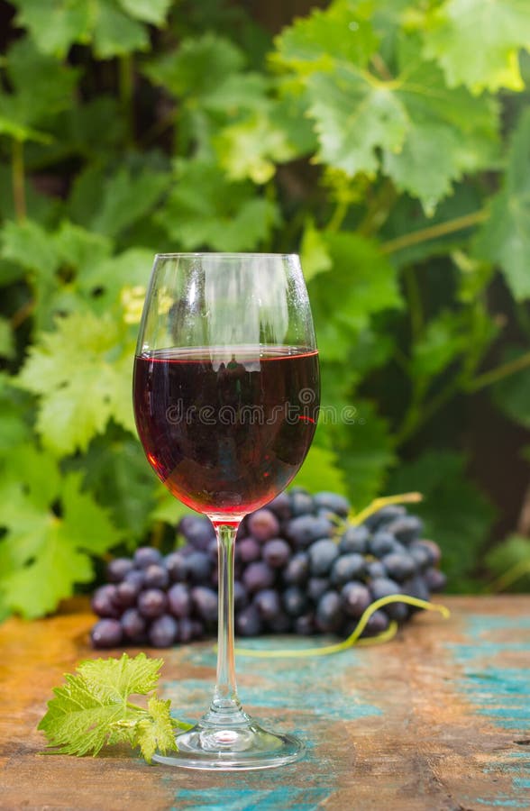 Rött vin för wirh för vinexponeringsglas, utomhus- terrass, vinavsmakning i soligt fotografering för bildbyråer Rött vin för wirh för vinexponeringsglas, utomhus- terrass, vinavsmakning i soligt fotografering för bildbyråer