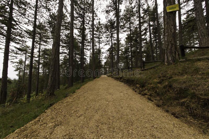 Part of the jogging path at the mountain of Tara, Serbia. Part of the jogging path at the mountain of Tara, Serbia