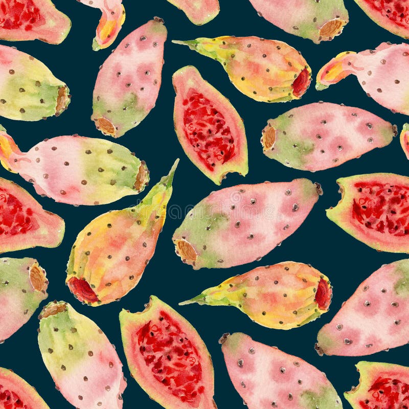 Rączkowe akwarele ilustracja bezszwowego wzorca opuntia ficus indica fruit lub prickly gruszka lub tuńczyk Pastelowy kolor royalty ilustracja