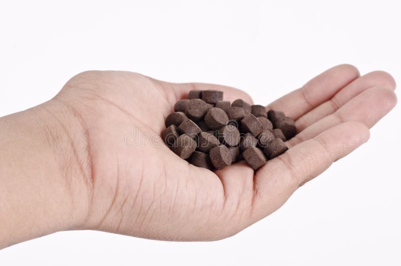 Ręka trzyma ayurvedic medycyny zdjęcia stock Ręka trzyma ayurvedic medycyny zdjęcia stock
