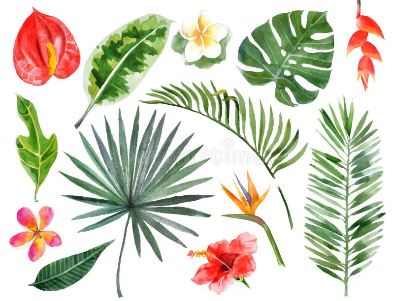 Ręki rysować akwareli tropikalne rośliny