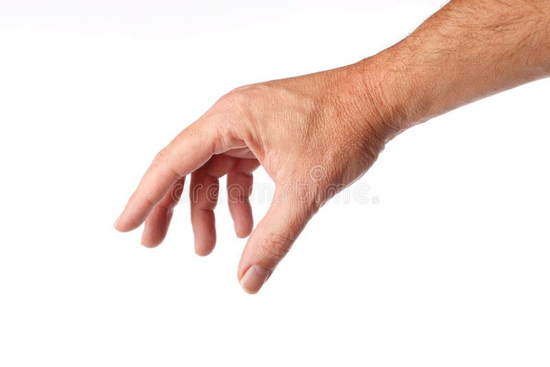 Ręki samiec