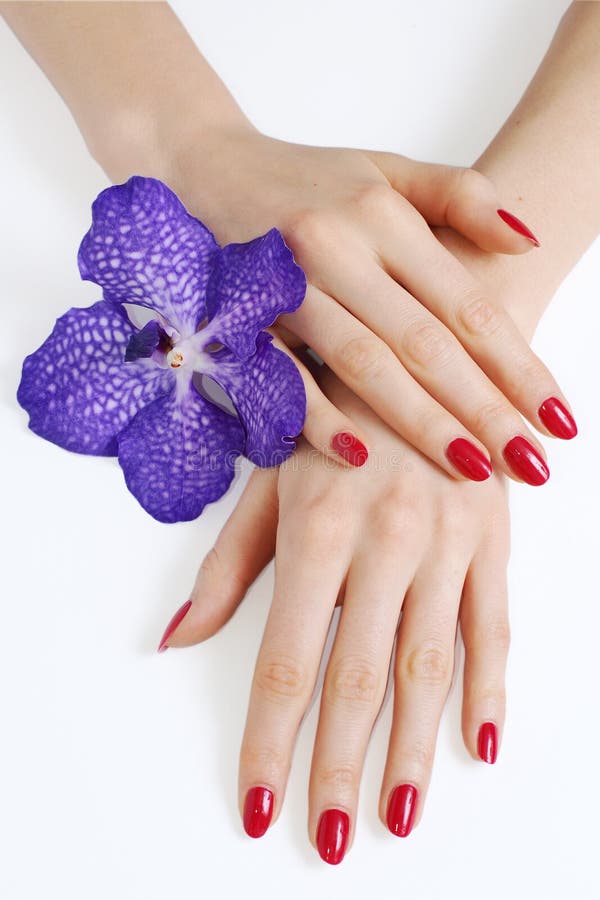 Ręki z manicure'em i purpur orchideą zdjęcia royalty free
