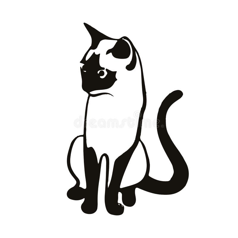 Seance De Chat Noir Silhouette Sur Un Fond Blanc Illustration De Vecteur Illustration Du Animal Signe