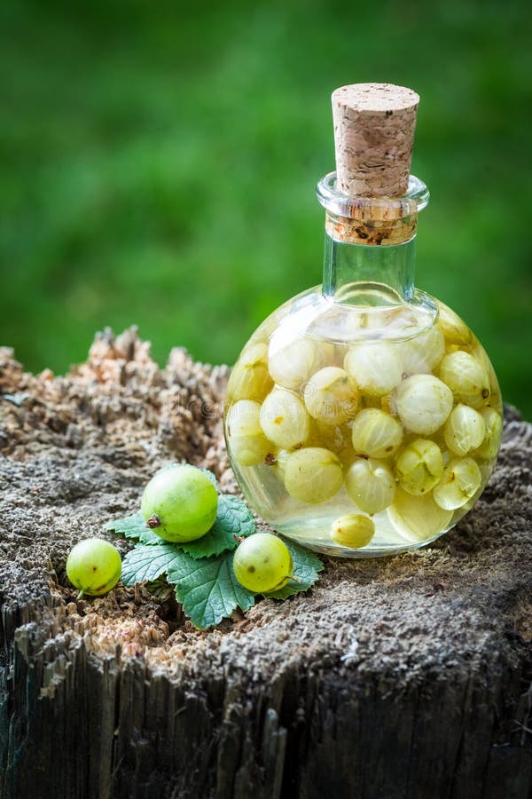 Süßer Likör Gemacht Vom Alkohol Und Von Den Stachelbeeren Im Sommer ...