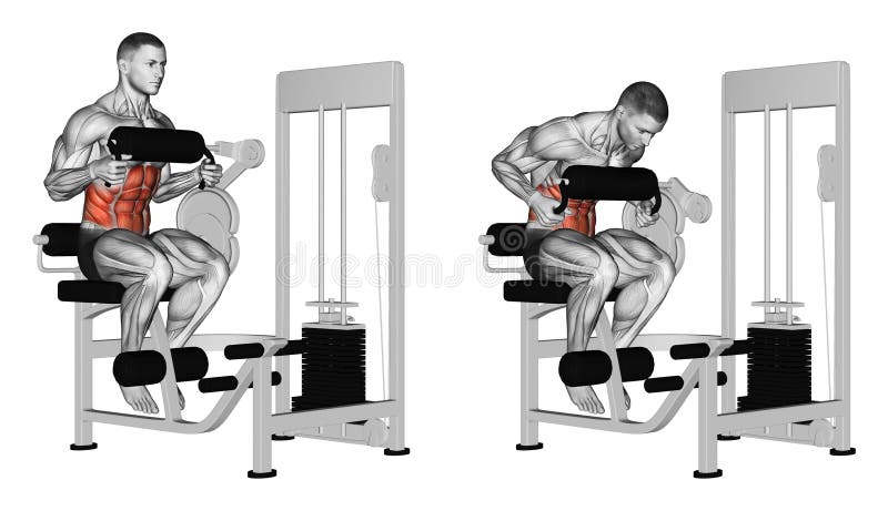 s'exercer Craquement abdominal dans la machine d'ab illustration libre de droits s'exercer Craquement abdominal dans la machine d'ab illustration libre de droits