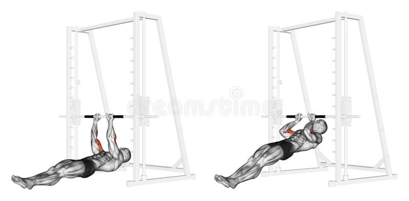 s'exercer Traction-UPS sur les brachialis illustration libre de droits s'exercer Traction-UPS sur les brachialis illustration libre de droits