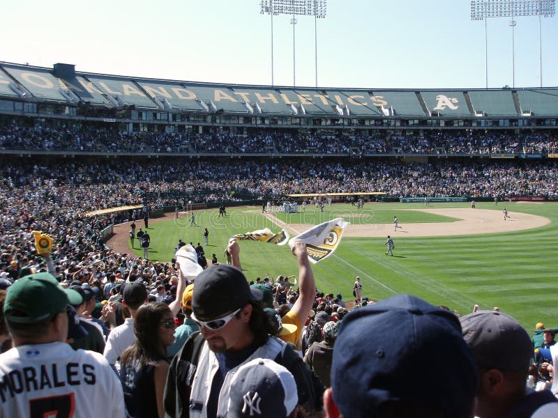 OAKLAND, CA - APRIL 15: Yankees vs A's: Oakland A's Fans and team celebrate walk off homerun by Marco Scutaro off Mariano Rivera Taken April 15 2007 at the Coliseum in Oakland California. OAKLAND, CA - APRIL 15: Yankees vs A's: Oakland A's Fans and team celebrate walk off homerun by Marco Scutaro off Mariano Rivera Taken April 15 2007 at the Coliseum in Oakland California.