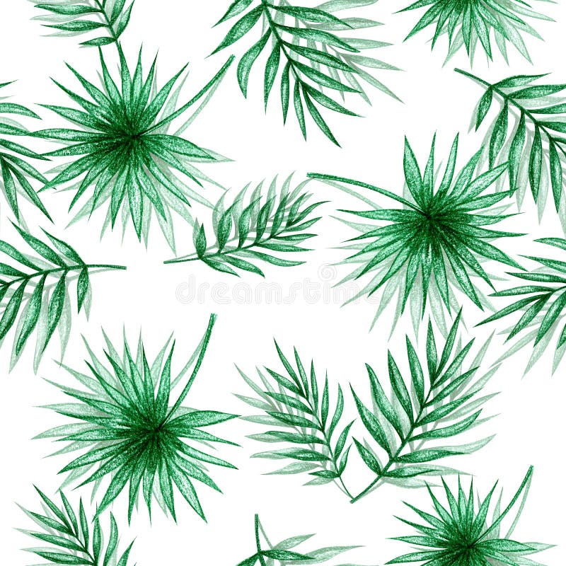 S?ml?s modell f?r palmblad royaltyfri illustrationer S?ml?s modell f?r palmblad royaltyfri illustrationer