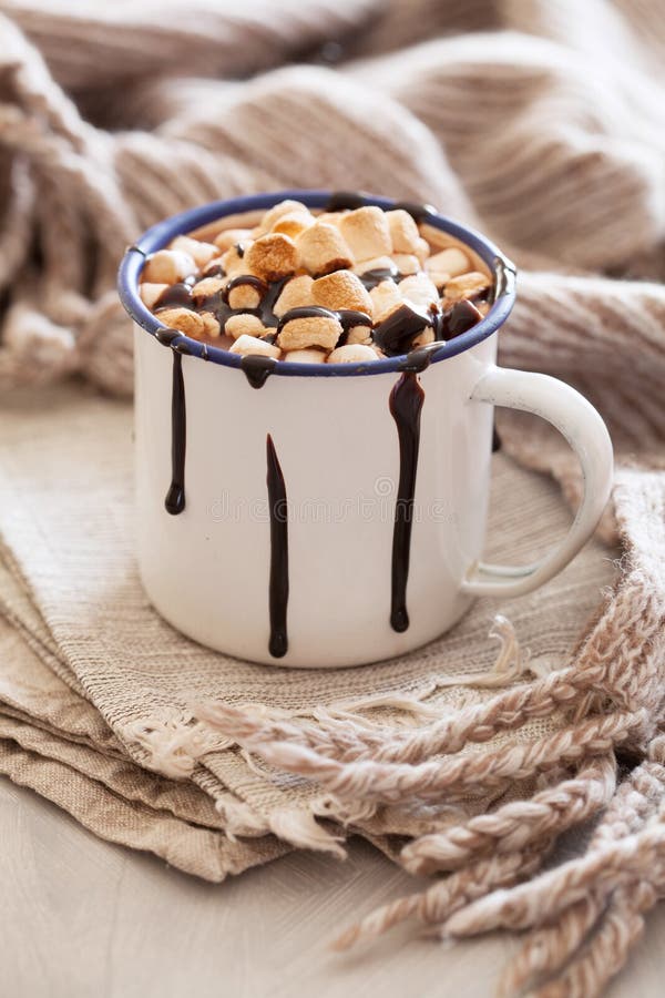 S ` mores de hete drank van de de kaneelwinter van de chocolade miniheemst royalty-vrije stock fotografie S ` mores de hete drank van de de kaneelwinter van de chocolade miniheemst royalty-vrije stock fotografie