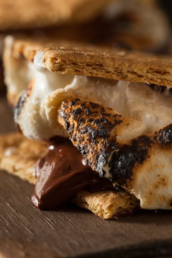 S'mores pegajosos caseiro com chocolate fotografia de stock