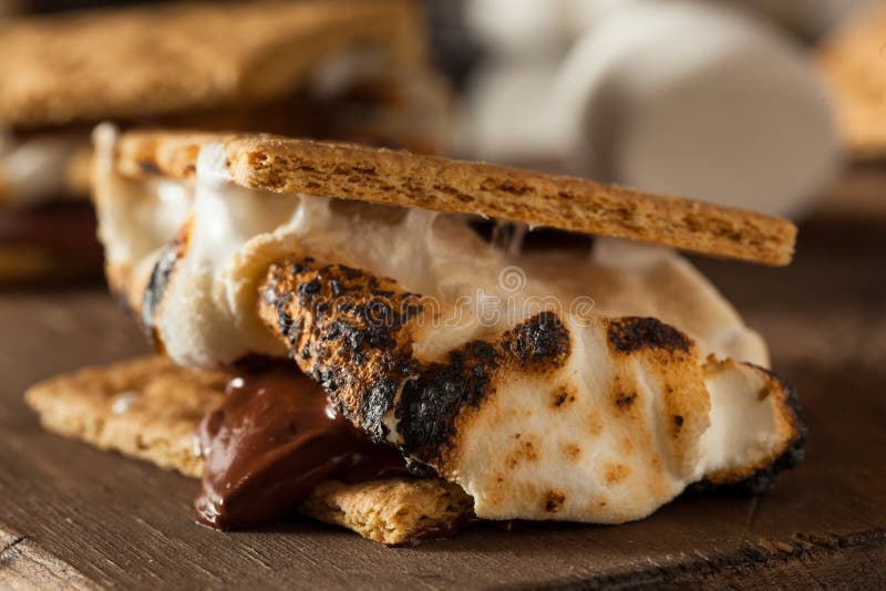 S'mores Caseiros Pegajosos com Chocolate imagem de stock royalty free