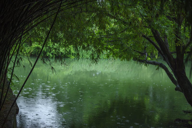 Drizzle Breaks the Calm of the River Stock Image - Image of raindrops ...