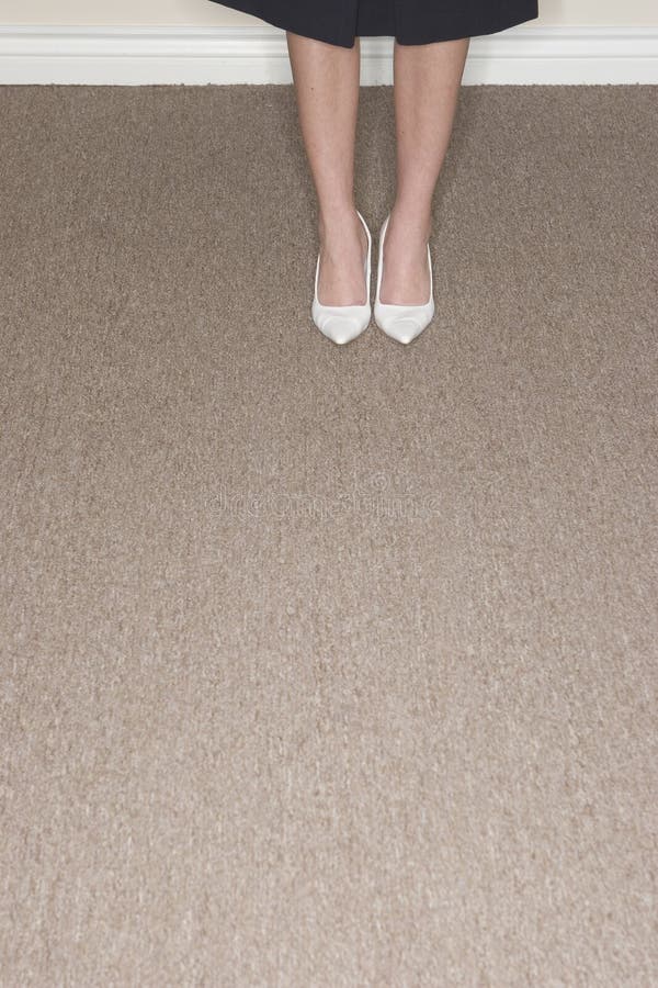 s shoes kvinnan royaltyfria foton s shoes kvinnan royaltyfria foton