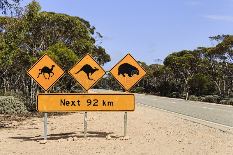 SA Stray animals sign 92 km