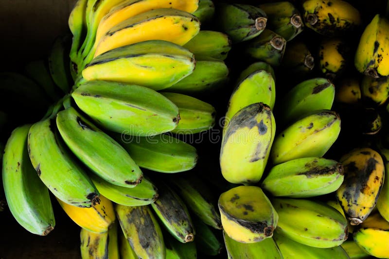 Saba Banana stock image. Image of fruits, saba, group 38545525