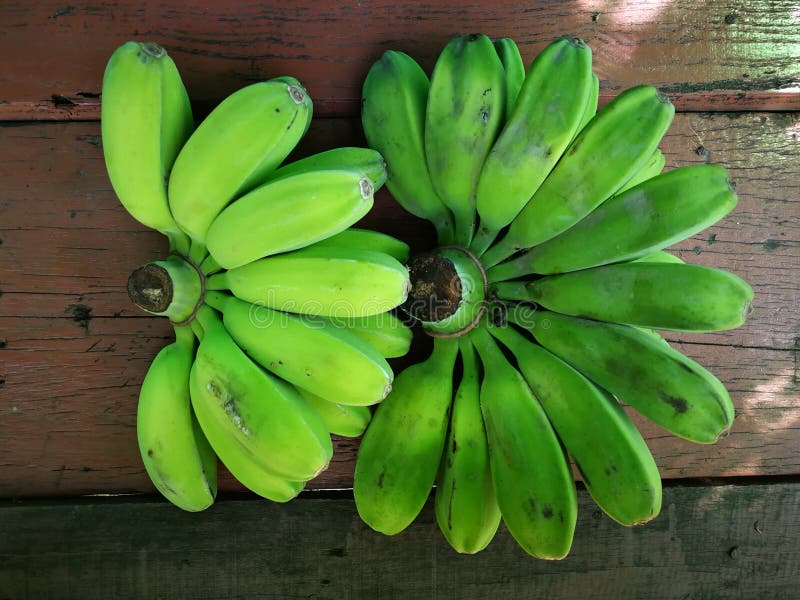 Saba Or Compact Banana Of Thailand Fr Stock Image - Image of herb