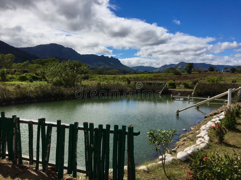 This is one of the pools at Sabeto Mud Pool nearby Nadi, Fiji. This is a very popular tourist attraction whereby firstly you cover yourself with mud, secondly let it dry and then jump into the hot spring.