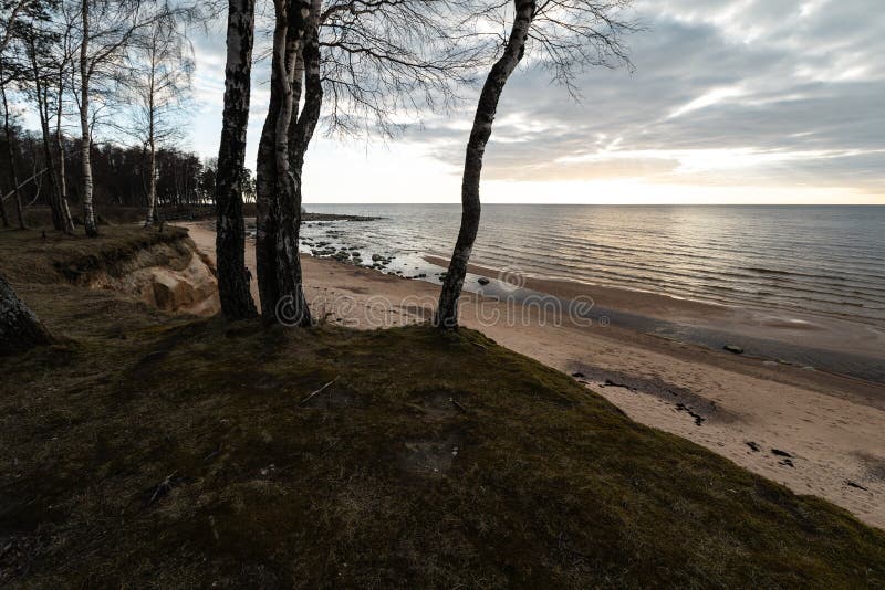 Sable de mousse et ciel nuageux sur la plage sur la mer baltique - Veczemju Klintis, Lettonie - 13 avril 2019 photographie stock libre de droits Sable de mousse et ciel nuageux sur la plage sur la mer baltique - Veczemju Klintis, Lettonie - 13 avril 2019 photographie stock libre de droits