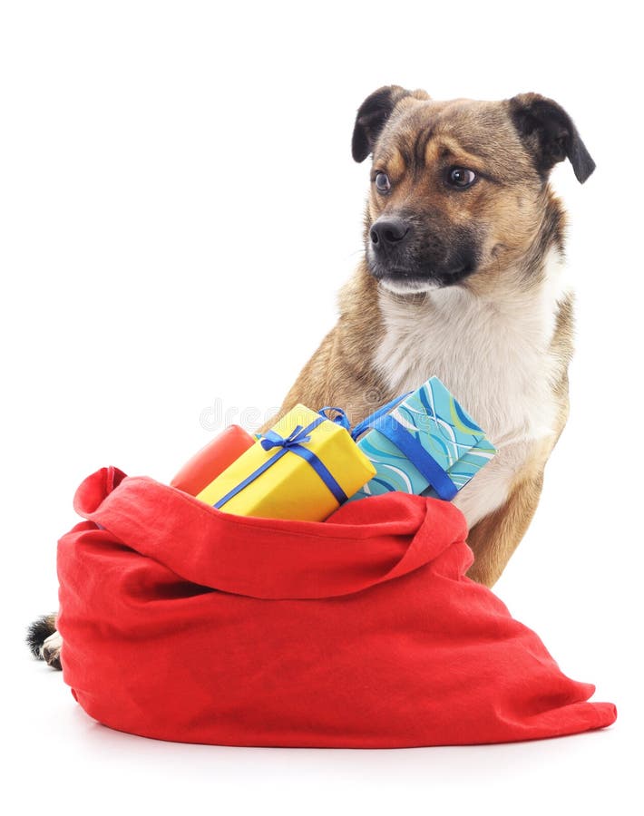 Sac de chien et de Noël avec des cadeaux photographie stock libre de droits Sac de chien et de Noël avec des cadeaux photographie stock libre de droits