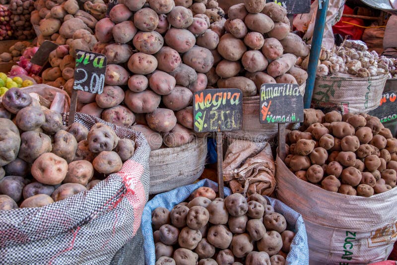 Sacchetti Delle Patate Fotografia Stock. Immagine Di Verdure - 94998416 - Foto 7