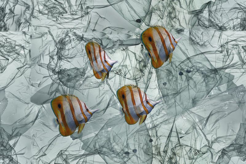 Sacco di plastica con pesce, inquinamento che galleggia nell'oceano fotografie stock Sacco di plastica con pesce, inquinamento che galleggia nell'oceano fotografie stock