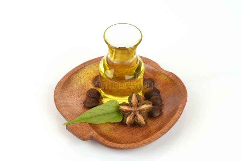 Sachainchi, Sacha-inchi, Sacha-mani, de arachideolie van Inca van zaden en Sacha royalty-vrije stock afbeelding Sachainchi, Sacha-inchi, Sacha-mani, de arachideolie van Inca van zaden en Sacha royalty-vrije stock afbeelding