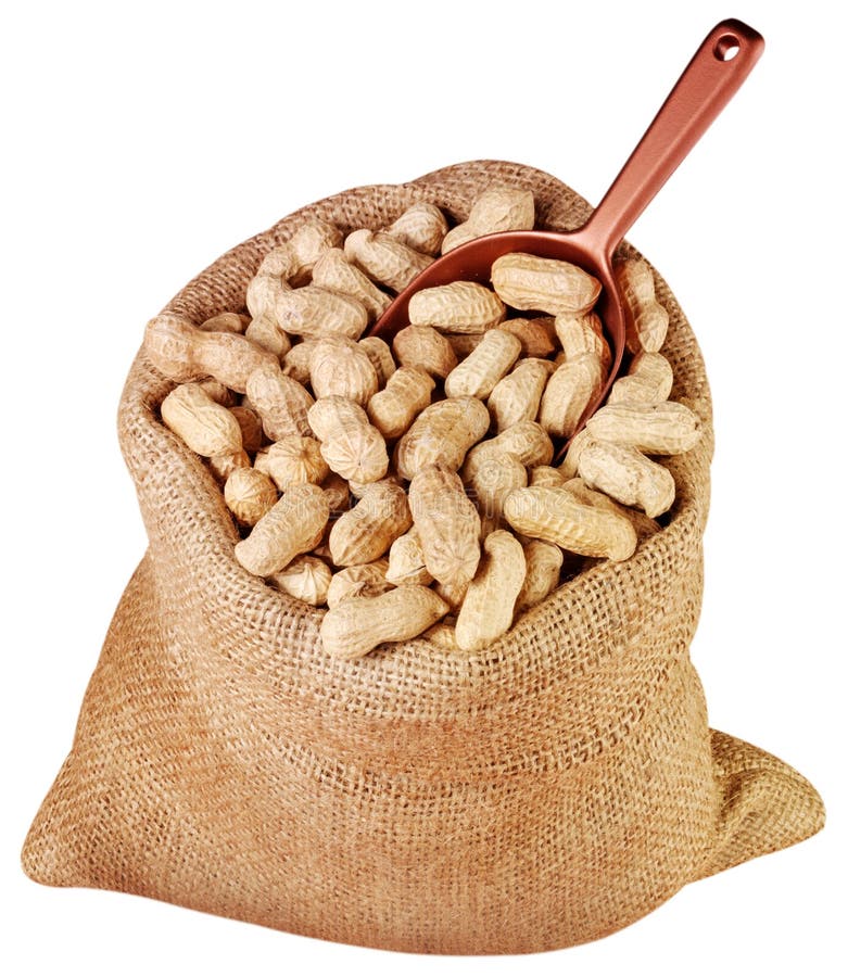 Sack of monkey nuts cut out.