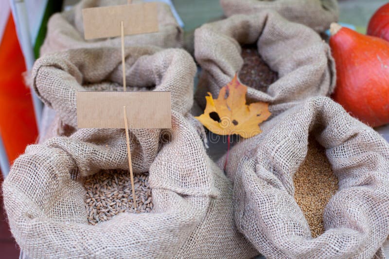 Sackcloth bags with different grains. Maple leaf stock images Sackcloth bags with different grains. Maple leaf stock images