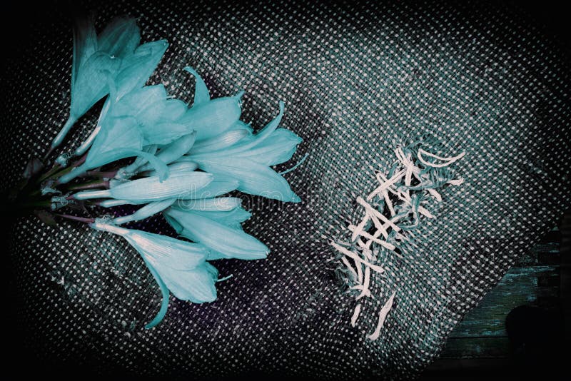 Sackleinenhintergrund mit Lilienblumen lizenzfreie stockbilder Sackleinenhintergrund mit Lilienblumen lizenzfreie stockbilder