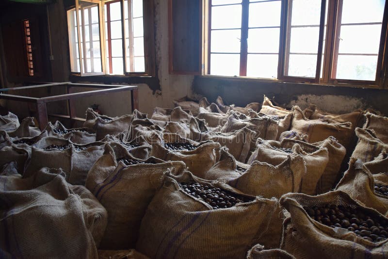 Nutmeg sacks storage. stock photo. Image of warehouse 209756344