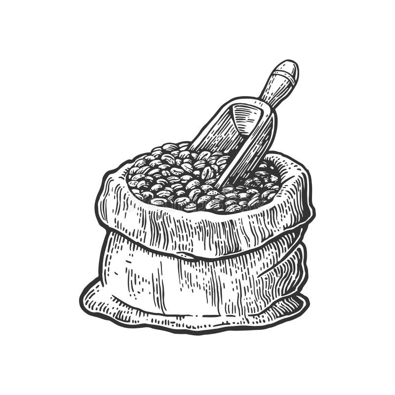 Saco con los granos de café con la cucharada de madera Estilo dibujado mano del bosquejo Ejemplo negro del grabado del vector del stock de ilustración