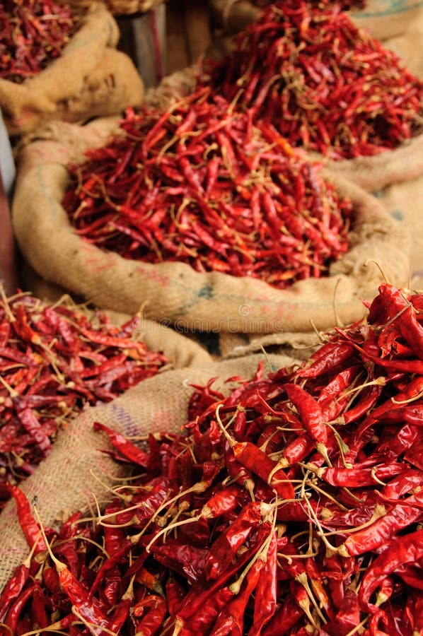 Bags of Dried Chillis. Kollam, Kerala, India. Bags of Dried Chillis. Kollam, Kerala, India